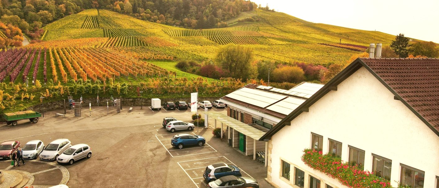 Fellbacher Weingärtner wine press, © Fellbacher Weingärtner Fellbacher Weingärtner wine press, © Fellbacher Weingärtner