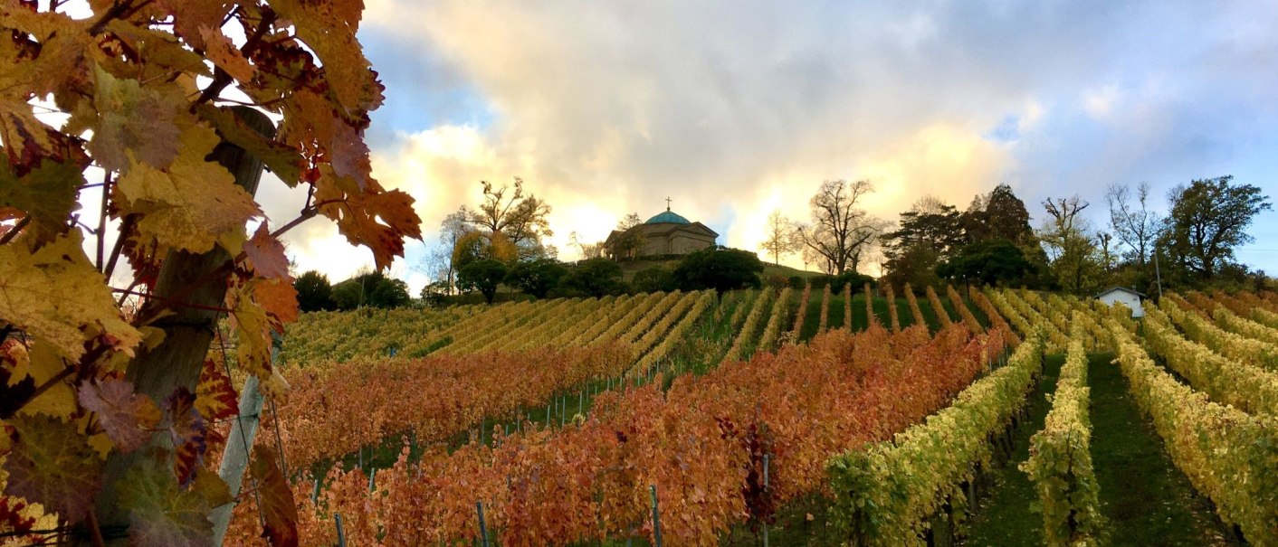Herbstliche Weinberge mit buntem Laub, im Hintergrund eine Kapelle auf einem Hügel unter bewölktem Himmel., © Stuttgart-Marketing GmbH