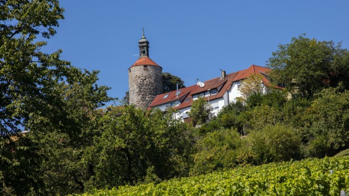 Der Burgturm von Winnenden erhebt sich &uuml;ber H&auml;user mit roten D&auml;chern, umgeben von gr&uuml;nen B&auml;umen und Weinreben unter einem klaren blauen Himmel., &copy; SMG_Achim Mende