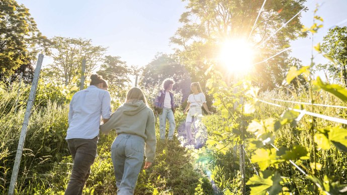 Spaziergang durch einen der zahlreichen Weinberge in der Region Stuttgart, &copy; Martina Denker