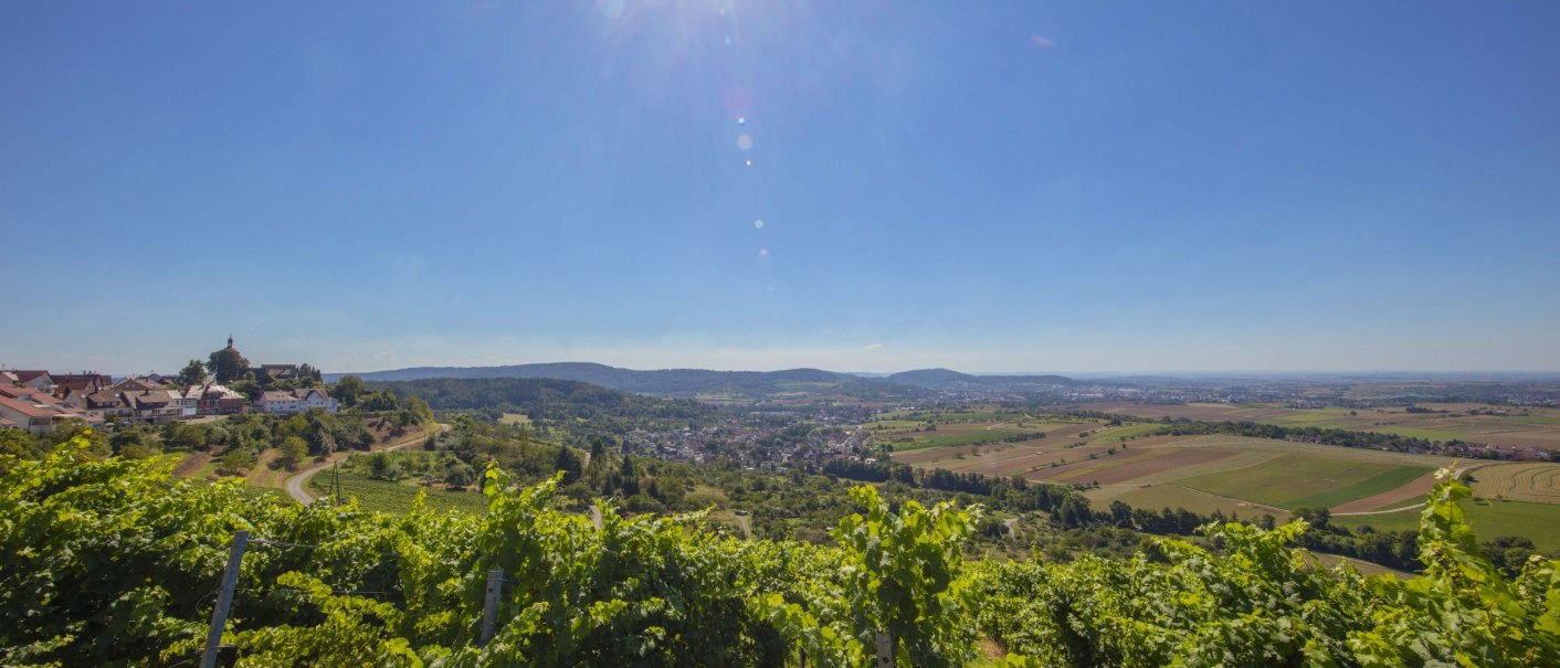 Sunny view over vineyards to a town and wide fields, surrounded by hills under a clear blue sky., © SMG_Achim Mende