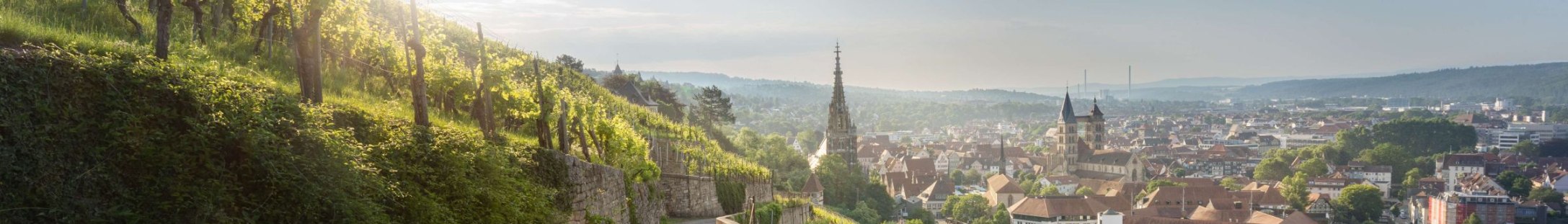 Esslingen am Neckar, © Stuttgart-Marketing GmbH, Martina Denker