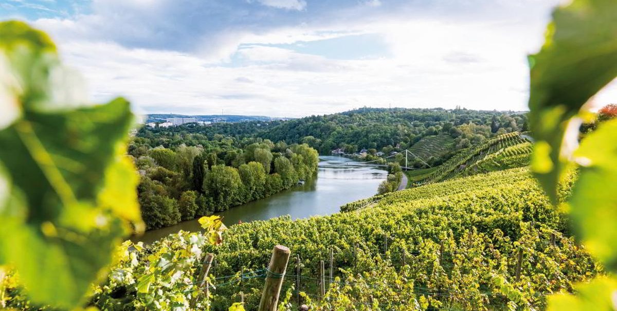 Das Bild zeigt das Neckartal mit einem Fluss, umgeben von grünen Weinbergen und bewaldeten Hügeln unter einem bewölkten Himmel., © TMBW, Christiane Würtenberger/CMR Das Bild zeigt das Neckartal mit einem Fluss, umgeben von grünen Weinbergen und bewaldeten Hügeln unter einem bewölkten Himmel., © TMBW, Christiane Würtenberger/CMR