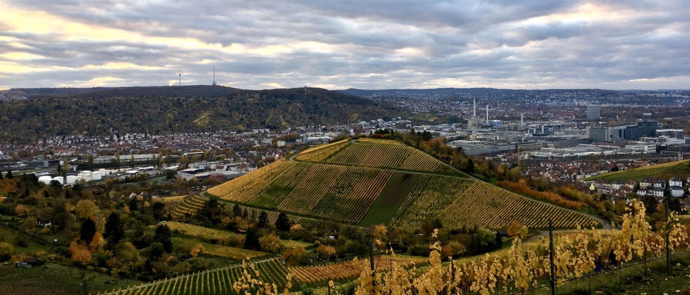 Weinberge erstrecken sich vor einer Stadtlandschaft mit Hügeln im Hintergrund. Der Himmel ist bewölkt, und die Vegetation zeigt Herbstfarben., © Stuttgart-Marketing GmbH Weinberge erstrecken sich vor einer Stadtlandschaft mit Hügeln im Hintergrund. Der Himmel ist bewölkt, und die Vegetation zeigt Herbstfarben., © Stuttgart-Marketing GmbH