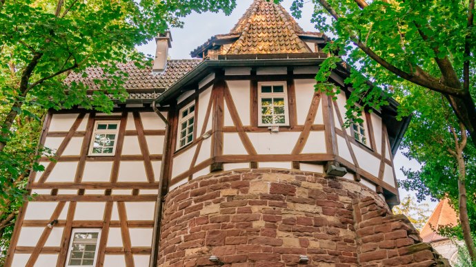 Bean quarter, © SMG Thomas Niedermüller