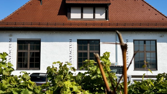 Building with red roof and 'Weinfactum' lettering, surrounded by green vines under a blue sky., &copy; Weinfactum Bad Cannstatt