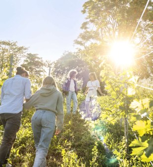 Spaziergang durch einen der zahlreichen Weinberge in der Region Stuttgart, © Martina Denker