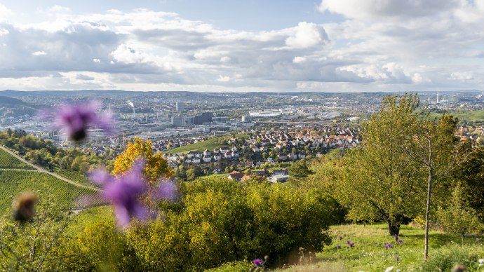 Ausblick auf Stuttgart, &copy; Kommwirmachendaseinfach.de-Nicole Hagemann