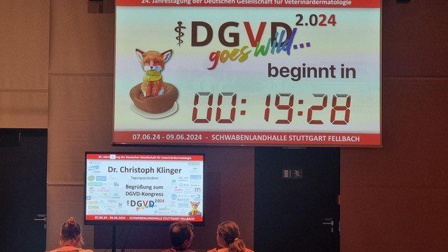 Beginn der Veranstaltung, © DGVD-Kongress 2024