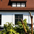 Gebäude mit rotem Dach und Schriftzug 'Weinfactum', umgeben von grünen Weinreben unter blauem Himmel., © Weinfactum Bad Cannstatt