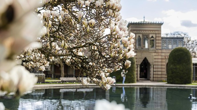 A magnolia tree in bloom in the foreground, behind it a historic building and a pond in the Zoological-Botanical Garden., © Stuttgart-Marketing GmbH, Sarah Schmid