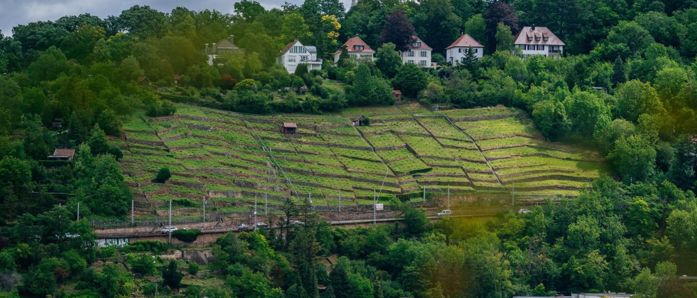 Terrassierte Weinberge erstrecken sich über einen grünen Hang, im Hintergrund stehen mehrere Häuser. Ein Zug fährt entlang der unteren Ebene., © Thomas Niedermüller