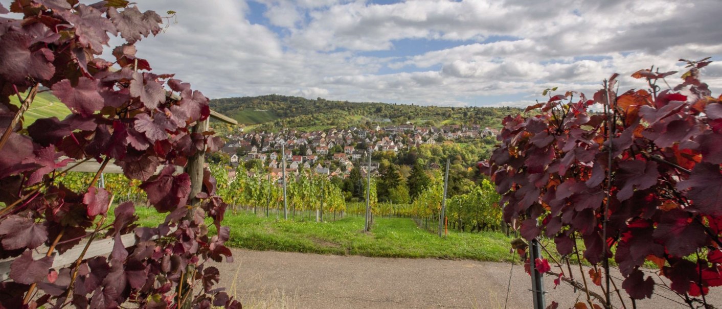 Weinreben mit roten Bl&auml;ttern rahmen den Blick auf eine Stadt in h&uuml;geliger Landschaft ein. Der Himmel ist bew&ouml;lkt., &copy; Stuttgart-Marketing GmbH