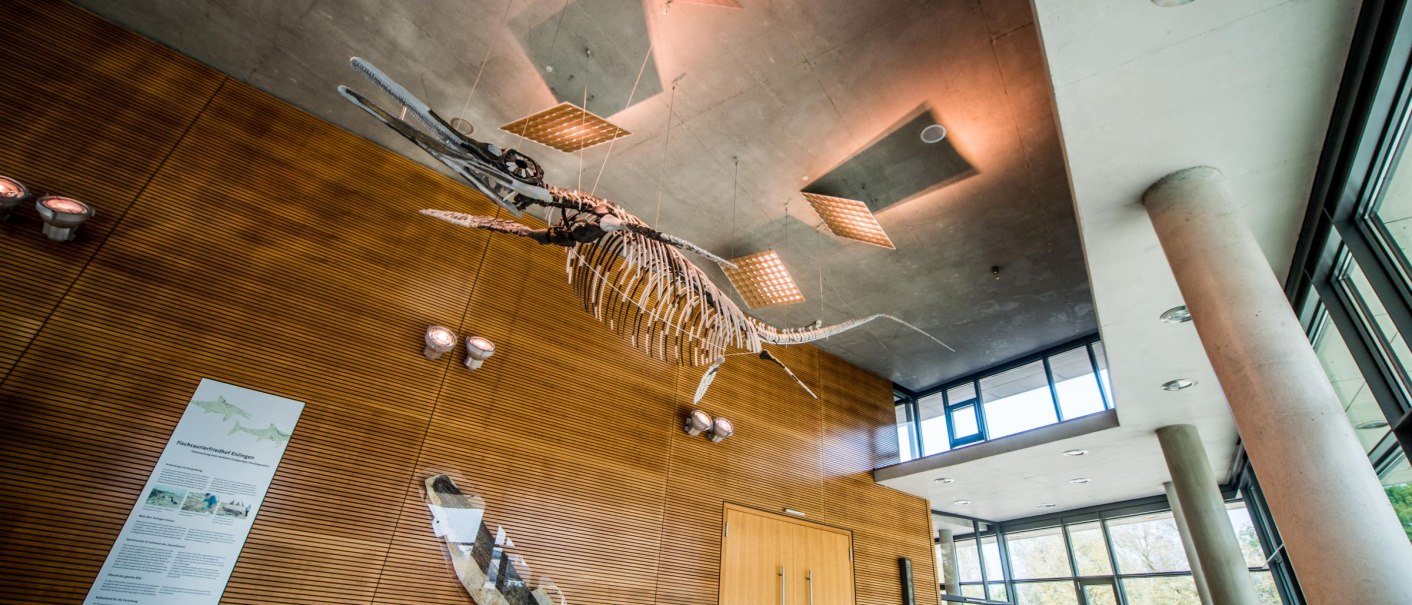 Foyer der Stadthalle Eislingen mit einem hängenden Skelett, moderner Architektur und Holzwänden. Große Fenster lassen viel Licht herein., © GIACINTO_CARLUCCI