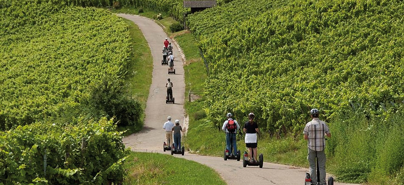 Segway Weinbergtour, © philovelo Holger Schirrmeister Photography