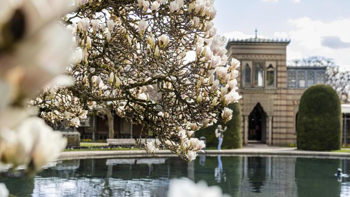 Magnolien im Zoologisch-Botanischen Garten, © Stuttgart-Marketing GmbH, Sarah Schmid