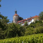 The castle tower of Winnenden rises above houses with red roofs, surrounded by green trees and vines under a clear blue sky., © SMG_Achim Mende