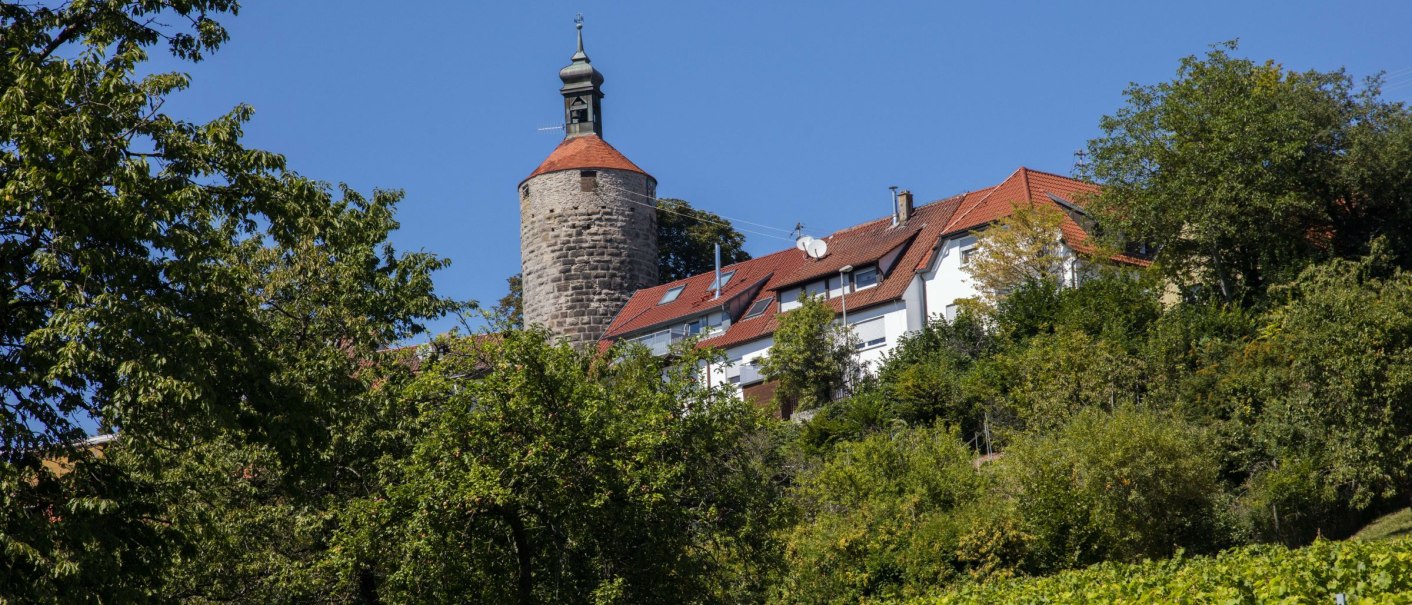 The castle tower of Winnenden rises above houses with red roofs, surrounded by green trees and vines under a clear blue sky., © SMG_Achim Mende